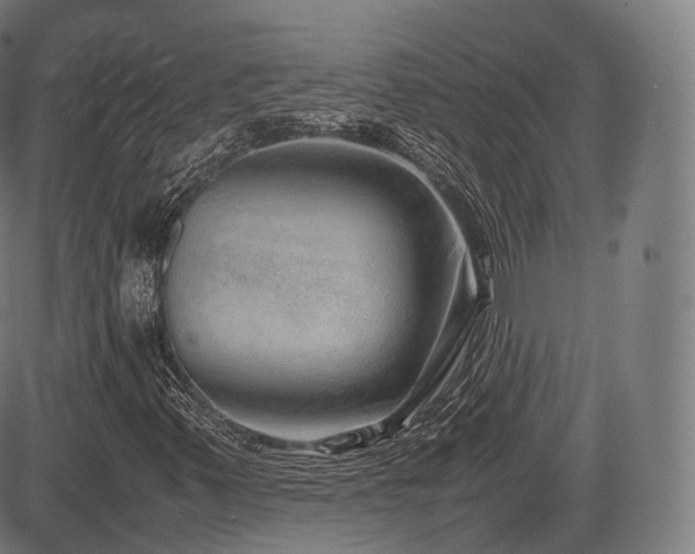 X0000085311347200703091435