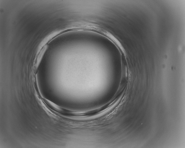 X0000085311485200703091433
