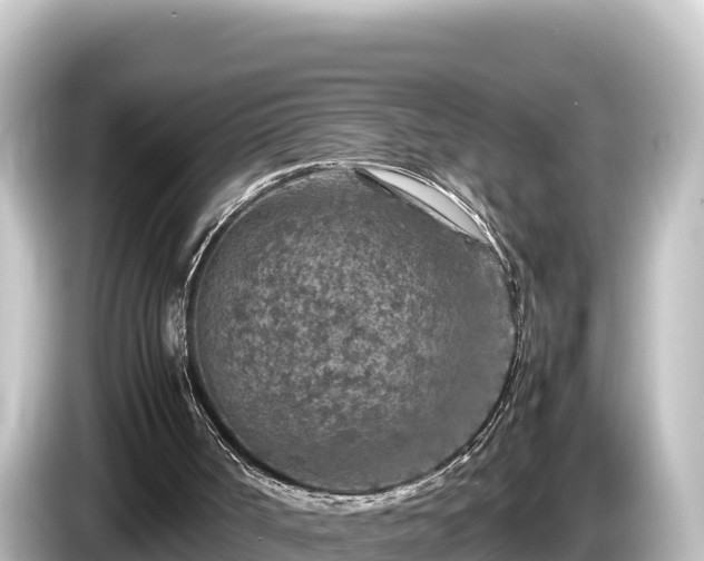 X0000085310002200703161500