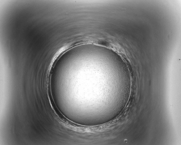 X0000085310003200703161500