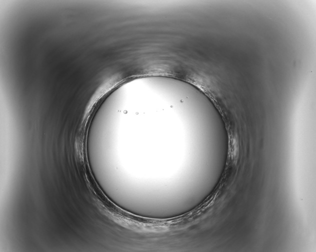 X0000085310004200703161500