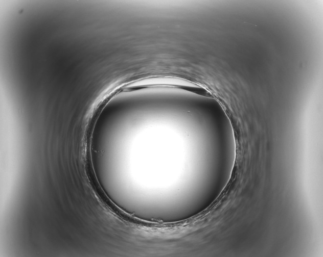 X0000085310005200703161500