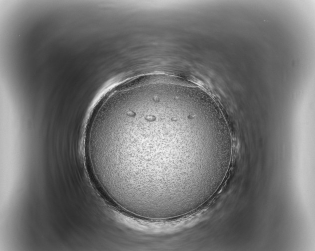X0000085310006200703161500