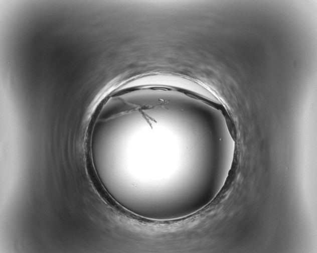 X0000085310007200703161500