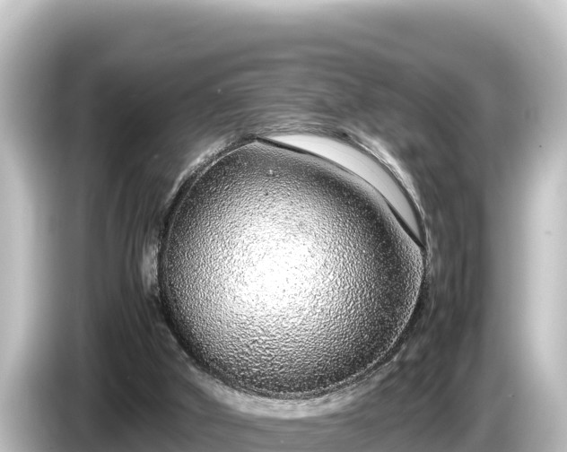 X0000085310010200703161500