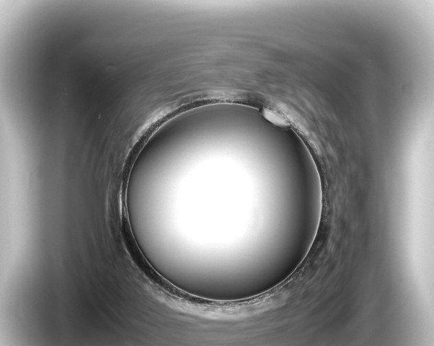 X0000085310011200703161500