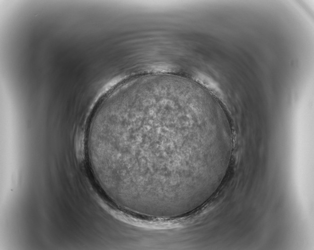 X0000085310012200703161500