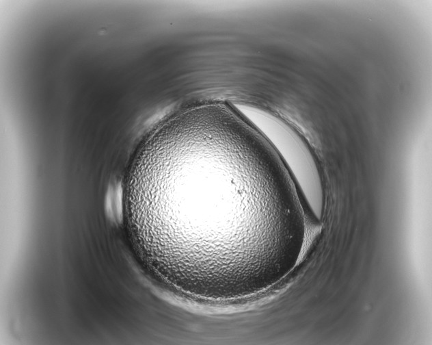 X0000085310014200703161500