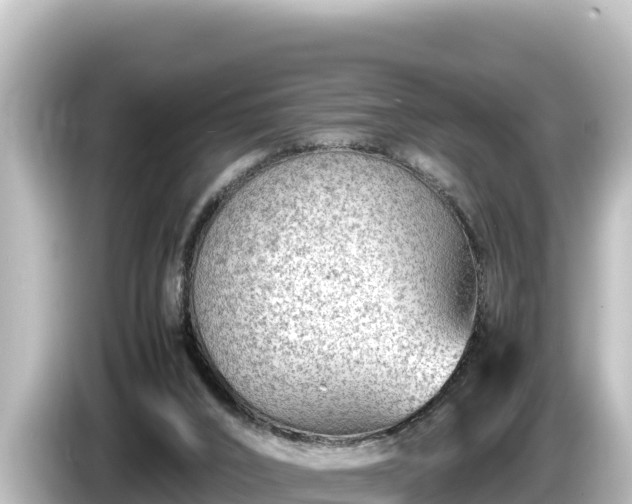 X0000085310016200703161500