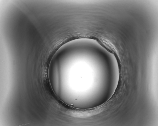 X0000085310017200703161500