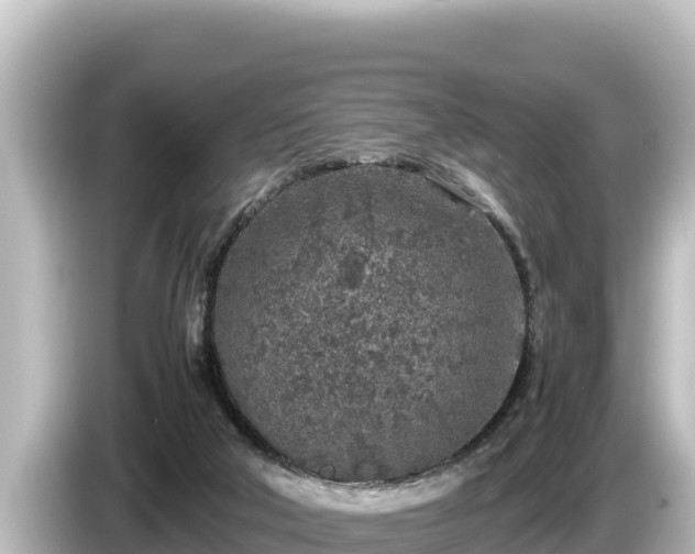 X0000085310018200703161500