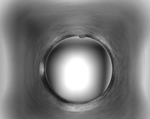 X0000085310021200703161500