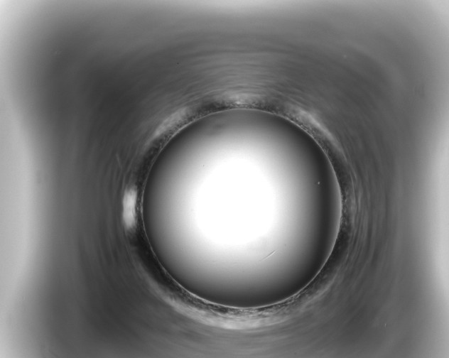 X0000085310024200703161500