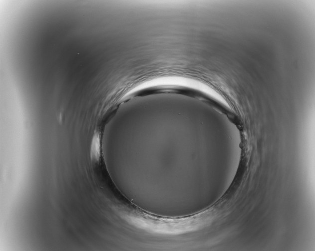 X0000085310027200703161500