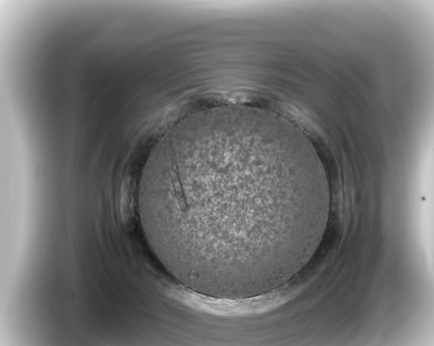 X0000085310030200703161500