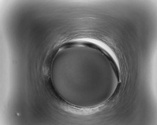 X0000085310031200703161500