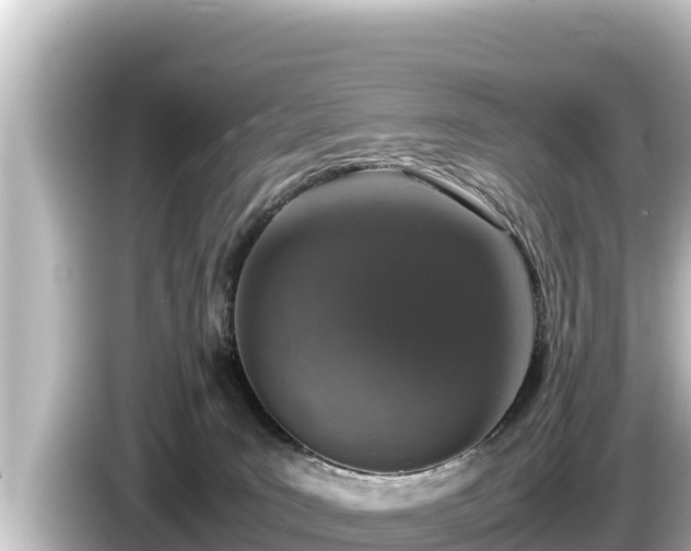 X0000085310035200703161500