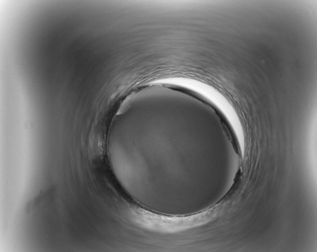 X0000085310039200703161500