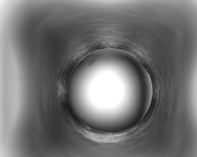 X0000085310040200703161500