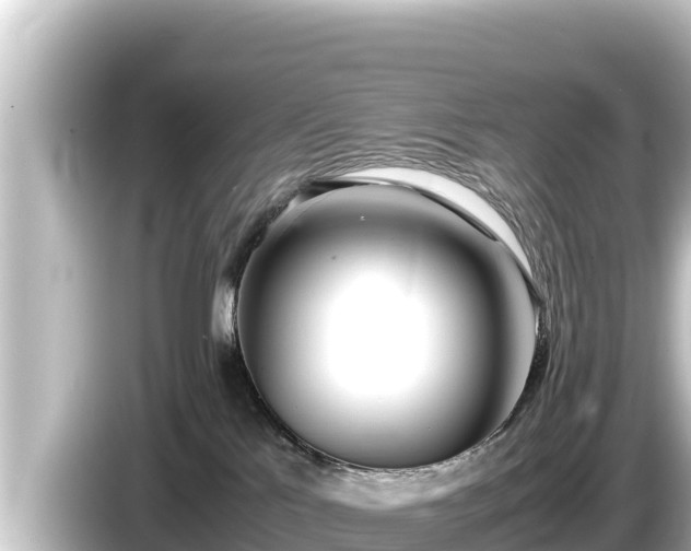 X0000085310041200703161500