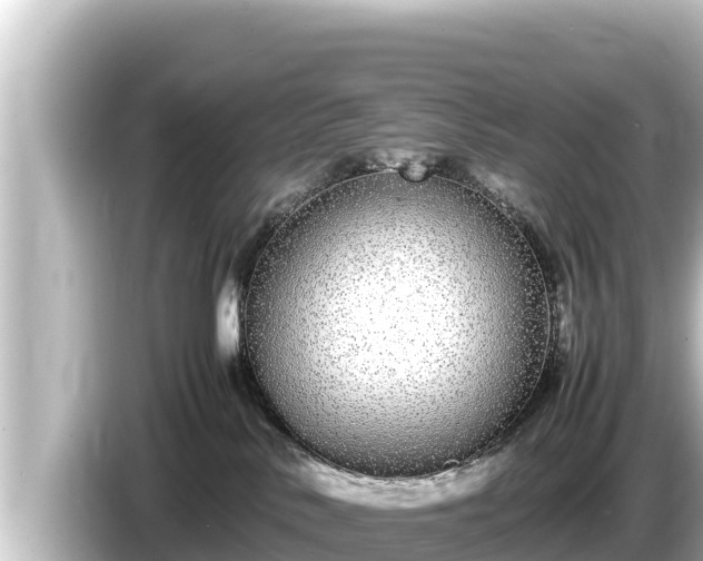 X0000085310042200703161500