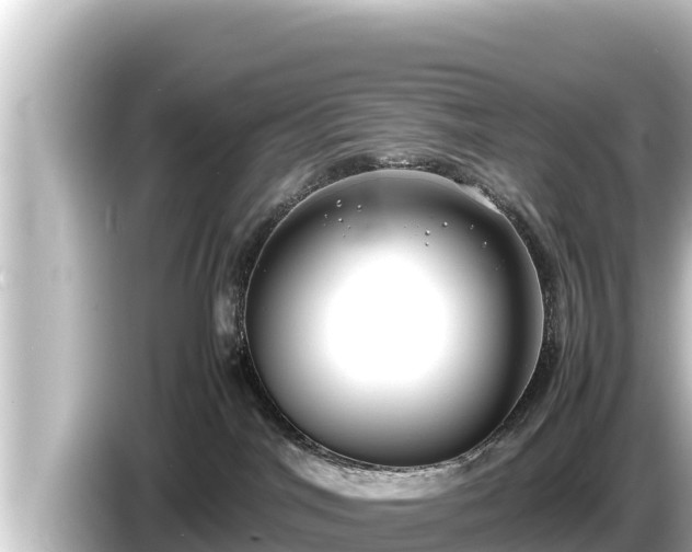 X0000085310044200703161500