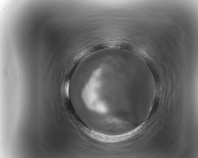 X0000085310047200703161459