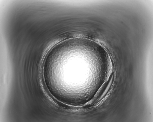 X0000085310049200703161459
