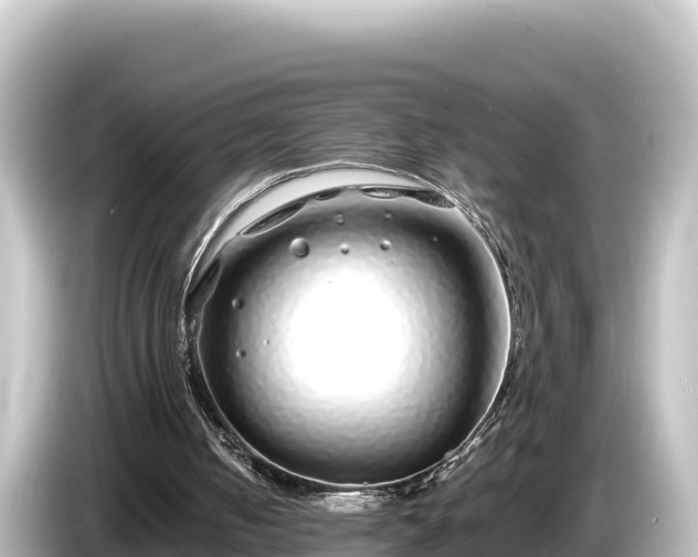 X0000085310050200703161459