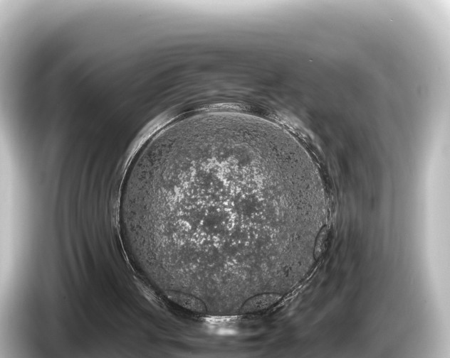 X0000085310051200703161459