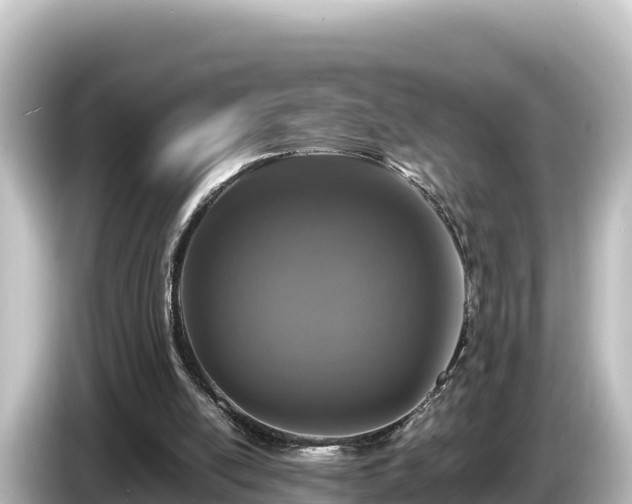 X0000085310054200703161459