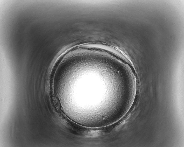 X0000085310055200703161459