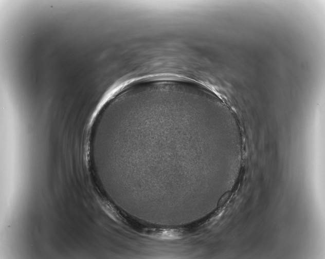 X0000085310056200703161459
