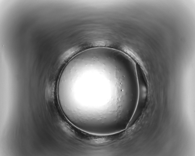 X0000085310058200703161459