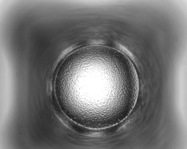 X0000085310059200703161459