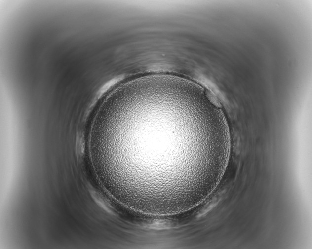 X0000085310060200703161459