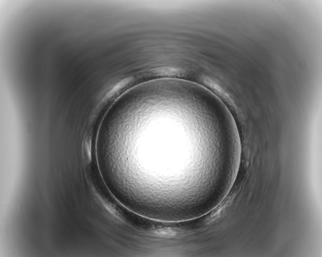 X0000085310062200703161459