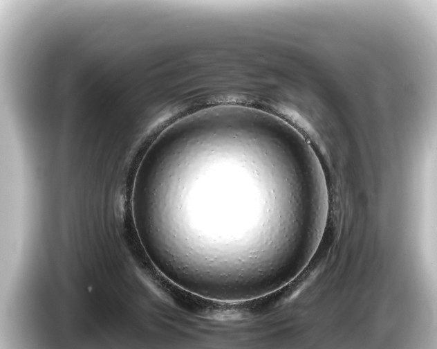 X0000085310063200703161459