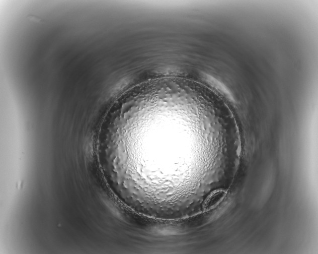 X0000085310065200703161459