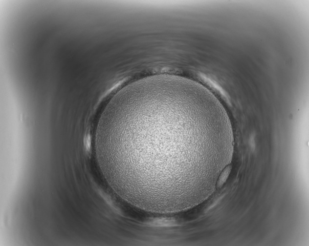 X0000085310067200703161459