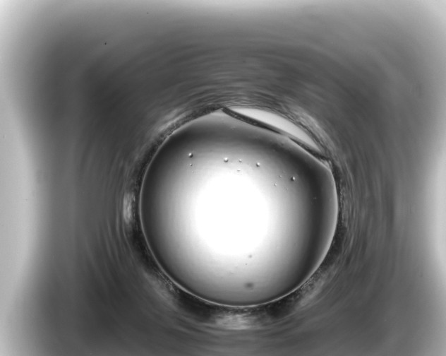 X0000085310071200703161459