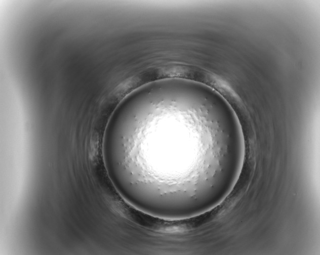 X0000085310073200703161459