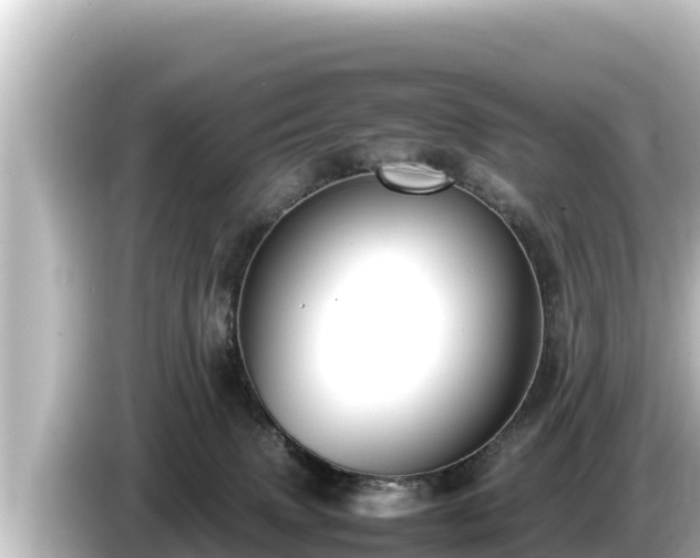 X0000085310083200703161459