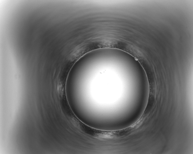 X0000085310086200703161459