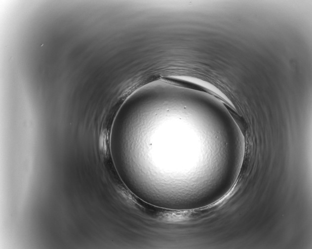X0000085310094200703161459