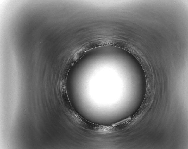 X0000085310096200703161459