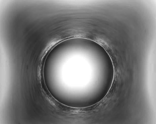 X0000085310098200703161459