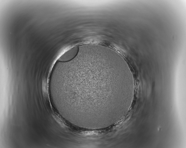 X0000085310100200703161459