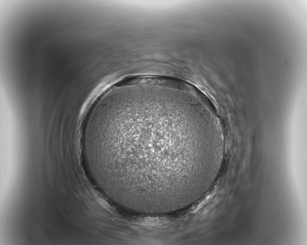 X0000085310101200703161459