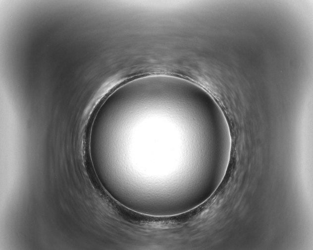 X0000085310103200703161459